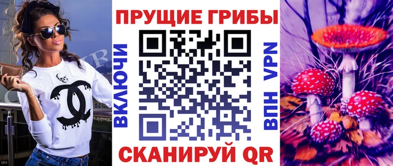 Галлюциногенные грибы Psilocybine cubensis  Купить где  Петухово 